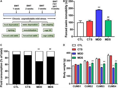 The Reversal Effect of Sigma-1 Receptor (S1R) Agonist, SA4503, on Atrial Fibrillation After Depression and Its Underlying Mechanism